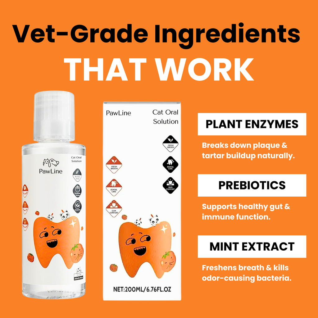 PawLineCo™ Cat Oral Solution
