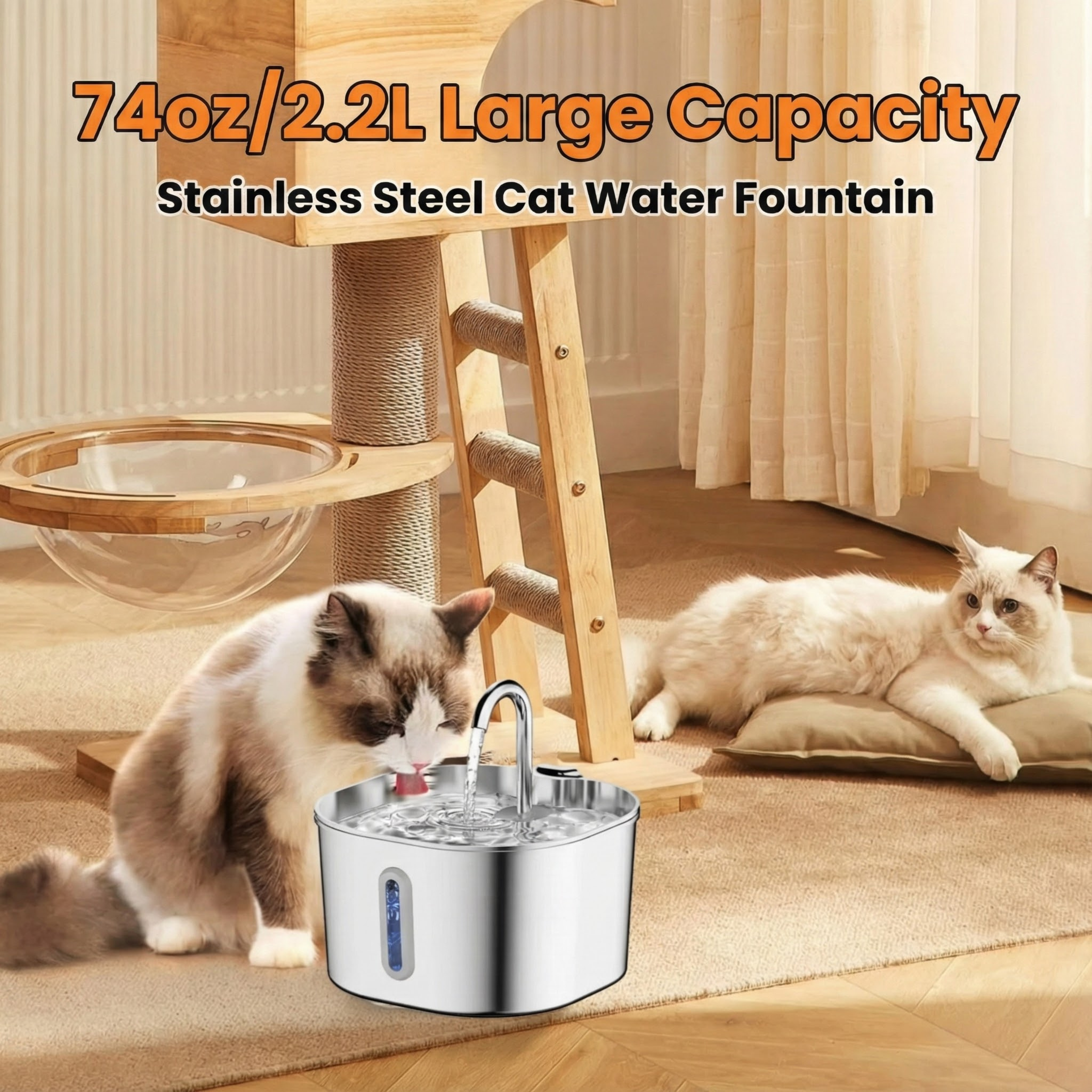 Protect your cat from UTIs, Stones, and Kidney Disease with Pawline