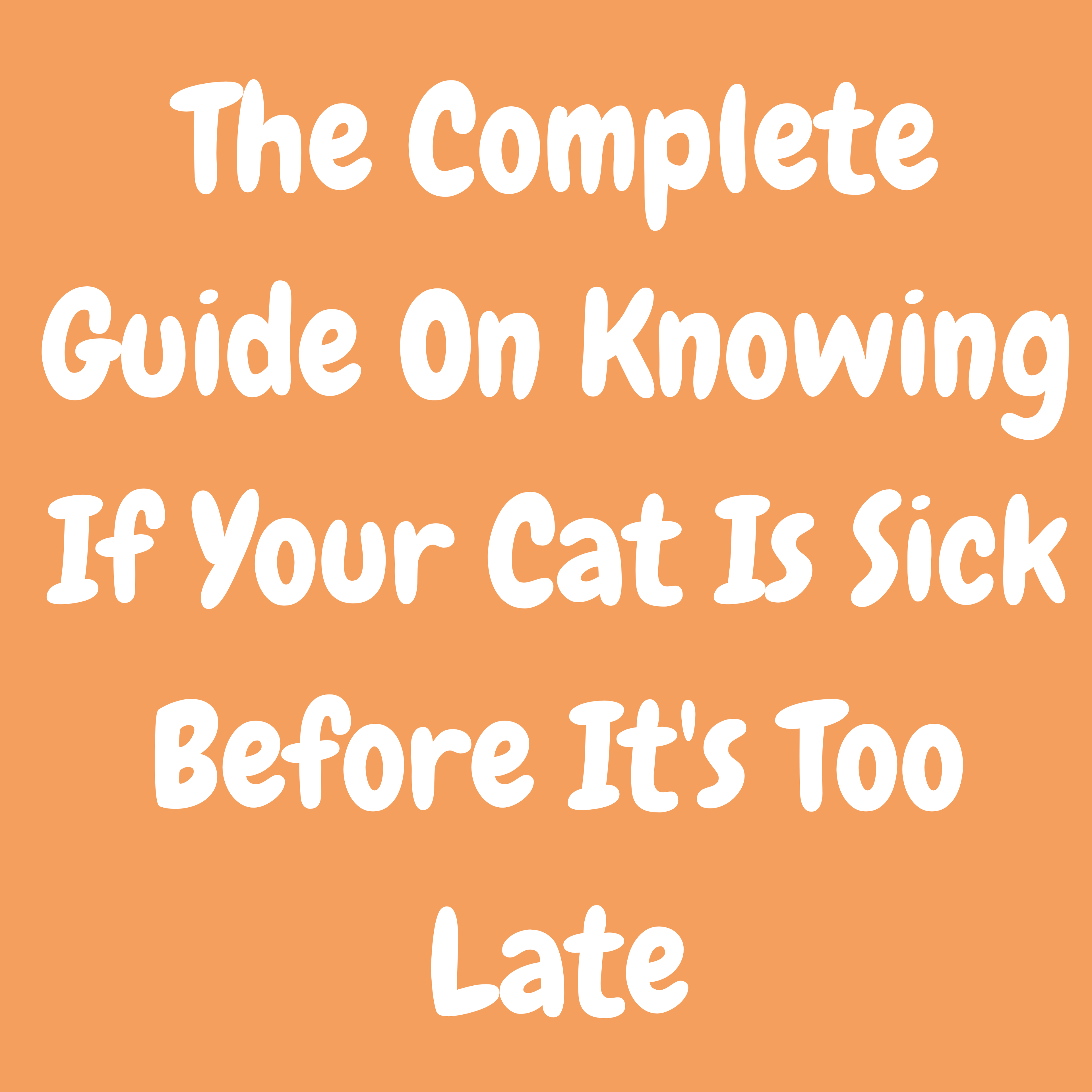 PawLineCo™ The Complete Guide On Knowing If Your Cat Is Sick Before It's Too Late
